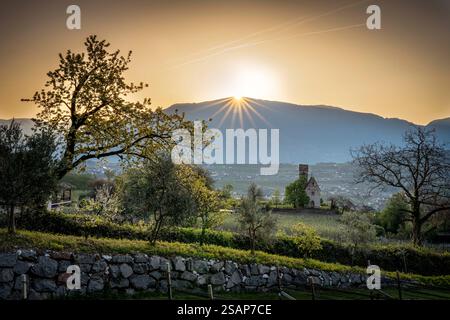 Sonnenaufgang über Weinbergen in Südtirol Stockfoto