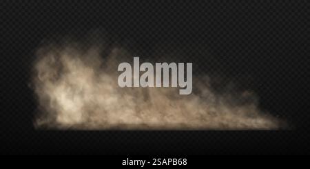 Staubsandwolke mit Steinen und fliegenden staubigen Partikeln isoliert auf transparentem Hintergrund. Staubige Wolken oder trockener Sand fliegen. Realistische Vektordarstellung. Stock Vektor