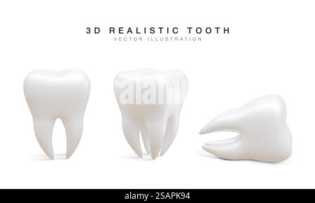 Satz weißer Zahn in unterschiedlicher Position isoliert auf weißem Hintergrund. Konzept der zahnärztlichen Untersuchung der Zähne, Zahngesundheit und Hygiene. Vektorabbildung. Stock Vektor