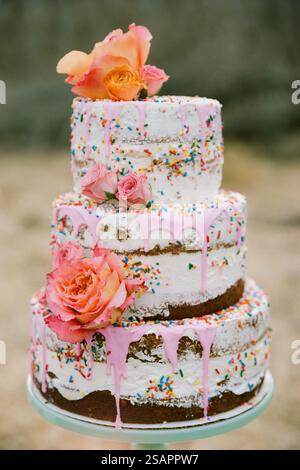 Ein wunderschön gefertigter dreistufiger Kuchen besteht aus glattem, mit rosa Glasur bespritzelt und mit rosafarbenen Rosen und bunten Streuseln verziert – perfekt für jeden Stockfoto