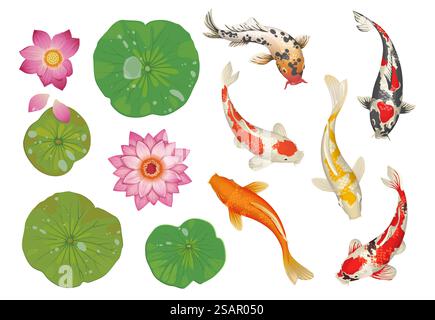 Koi-Fische im Teich. Zeichentrickfilm traditionelle orientalische Szene mit goldenem gepunktetem Karpfen, Lotusblättern und Blumen. Isoliertes japanisches Wasserpool-Dekor mit Naturelementen. Botanischer asiatischer Hintergrund des Vektors. Koi-Fische im Teich. Zeichentrickfilm traditionelle orientalische Szene mit goldenen Karpfen, Lotusblättern und Blumen. Japanisches Wasserpool-Dekor mit Naturelementen. Botanischer asiatischer Hintergrund des Vektors Stock Vektor