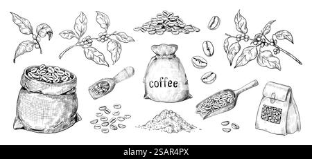 Handgezeichneter Kaffee. Arabica-Samen und Beutel voller gerösteter Bohnen. Verzweigungen mit Blättern. Isolierte Holzlöffel. Bio-Zutaten für die Zubereitung von Aroma-Koffeingetränk. Vektor-Schwarzweiß-Skizzen festgelegt. Handgezeichneter Kaffee. Arabica-Samen und Beutel voller gerösteter Bohnen. Verzweigungen mit Blättern. Holzlöffel. Organische Zutaten für die Zubereitung von Koffeingetränken. Vektor-Schwarzweiß-Skizzen festgelegt Stock Vektor