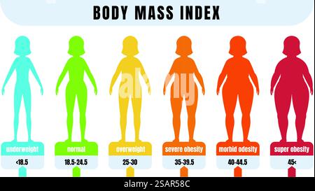 Frau BMI. Body-Mass-Index-Infografik für Menschen mit Adipositas und Normalgewicht. Farbenfrohes Diagramm zur Diagnose von Adipositas oder Untergewicht. Weibliche Silhouetten von dünn bis fett. Vektor-medizinisches Banner. Frau BMI. Body-Mass-Index-Infografik für Menschen mit Adipositas und Normalgewicht. Diagramm zur Diagnose von Adipositas oder Untergewicht. Weibliche Silhouetten von dünn bis fett, Vektorbanner Stock Vektor