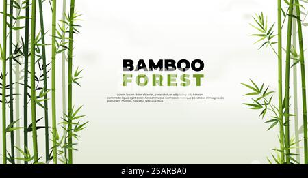 Bambuswaldbanner. Ostasiatische tropische Pflanzen Hintergrund. Strukturbegrenzungselemente und grüne Blätter. Gerader Stamm und Laub. Vektor-japanisches oder chinesisches Naturposter mit Schriftzug und Kopierraum. Bambuswaldbanner. Ostasiatische tropische Pflanzen Hintergrund. Strukturbegrenzungselemente und -Blätter. Gerader Stamm und Laub. Vektorplakat Japanisch oder Chinesisch mit Schriftzug und Kopierraum Stock Vektor