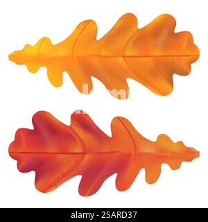 Realistischer Eichenblatt-Vektor isoliert auf weißem Hintergrund. Herbstbraunes und gelbes Blatt für Ihr Design Stock Vektor