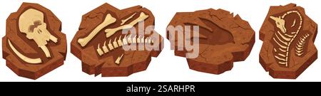 Fossile Knochen von Dinosaurierarchäologischen Ausgrabungen in Ammoniitsteinsätzen. Studium und Lernen von alten Tieren jurassische Periode Geschöpf Vektor Illustration. Fossile Knochen von Dinosaurierarchäologischen Ausgrabungen in Ammoniitstein Stock Vektor