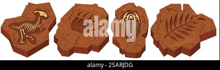 Dinosaurier- und Insektenskelett, Kreaturpfote und Pflanzenspur isoliert auf weißem Hintergrund. Die prähistorische Zeit der archäologischen Ausgrabungen aus dem Jura. Dinosaurier- und Insektenskelett, Kreaturpfote und Pflanzenpfade Set Stock Vektor