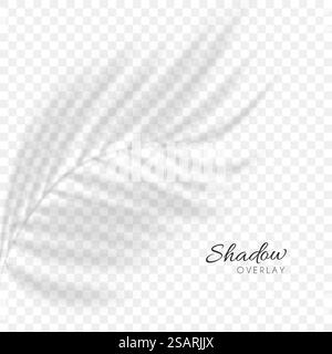 Abstrakte Schattenüberlagerung der Palmblattsilhouette isoliert auf transparentem Hintergrund. Unscharfer Schatten tropischer Baumzweige Morgensonnenlicht Stock Vektor