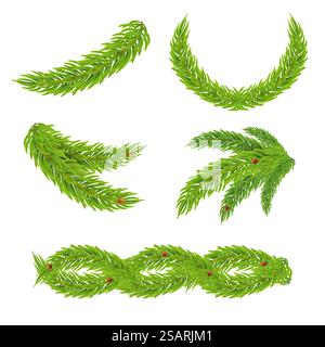 Vektortannenzweige Set für Weihnachten und Neujahr Banner, Poster. Isolierte Konstruktionselemente auf transparentem Hintergrund Stock Vektor