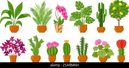Botanische Einrichtung im Cartoon House mit Topfpflanzen und Blumen. Blütenpflanzen, Monstera, Kakteen und Orchidee in Keramiktöpfen Vektor-Illustration Set. Topfpflanzen für den Innenbereich und botanischer Topf für den Innenraum. Botanische Einrichtung im Cartoon House mit Topfpflanzen und Blumen. Blütenpflanzen, Monstera, Kakteen und Orchidee in Keramiktöpfen Vektor-Illustration Set. Topfpflanzen im Innenbereich Stock Vektor
