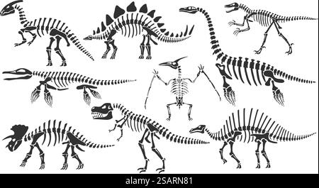 Dinosaurierskelette. Dino-Knochen, Stegosaurus-Fossil und tyrannosaurus-Skelett. Überreste von alten Tieren Vektor-Illustration Set von Skelett Dino und Dinosaurier triceratops Fossil. Dinosaurierskelette. Dino-Knochen, Stegosaurus-Fossil und tyrannosaurus-Skelett. Überreste von alten Tieren Vektor-Illustration Set Stock Vektor