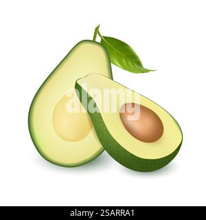 Vektorsatz von ganzen und geschnittenen Avocadofrüchten isoliert auf weißem Hintergrund Stock Vektor