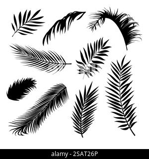 Palmenblätter Vektor-Hintergrundillustration EPS10. Satz realistischer Palmenblatt-Silhouetten. Schwarze Farbformen isoliert auf weißem Hintergrund. Sammlung von Regenwaldpflanzen. Stock Vektor