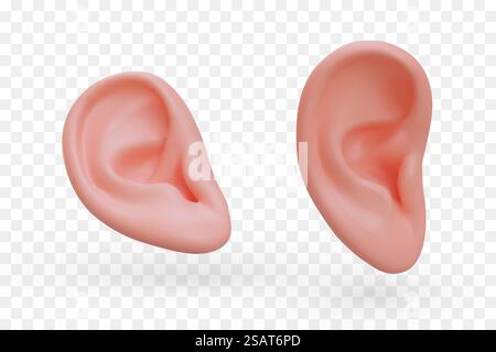 Realistisches Ohr in verschiedenen Positionen. Menschliches Hörorgan. Zuhören. Satz isolierter Vektorbilder. Hörtests. Leistungen des Hals-Nasen-Ohren-Arztes. Medizinische Symbole. Realistisches Ohr in verschiedenen Positionen. Menschliches Hörorgan. Zuhören Stock Vektor