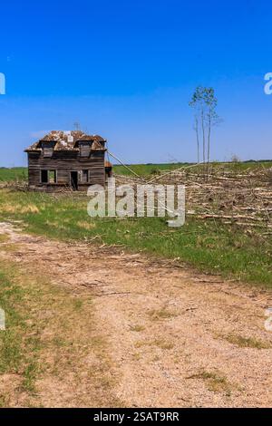 Ein kleines, baufälliges Haus sitzt auf einem Feld. Das Haus ist von Bäumen umgeben und der Himmel ist klar und blau Stockfoto