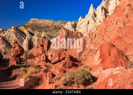 Eine felsige Wüstenlandschaft mit einem blauen Himmel im Hintergrund. Die Felsen sind rot und der Himmel ist klar Stockfoto
