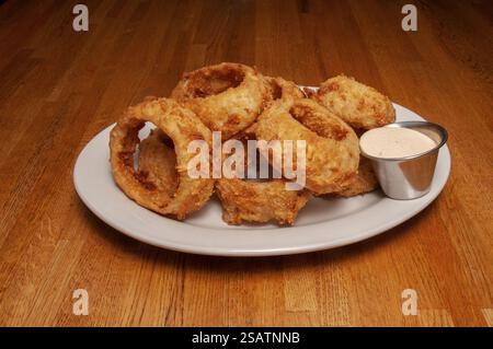 Köstliches amerikanisches Gericht, bekannt als gebratene Zwiebelringe Stockfoto