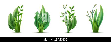 Realistische grüne Grassträuße. Frische Grünkompositionen, Gartenkräuter und Blätter Kombinationen, Wiesen natürliche Mischpflanzen, Bio Gartenarbeit Lebensstil 3D isoliert Dekor Objekte utter Vektor Set. Realistische grüne Grassträuße. Frische Grünkompositionen, Gartenkräuter und Blätter Kombinationen, Wiesen natürliche Mischpflanzen, organische Gartenarbeit 3D isoliert Dekor Objekte utter Vektor Set Stock Vektor