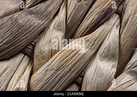 Getrocknetes Fasermaterial im Kreuzschraffurmuster Stockfoto