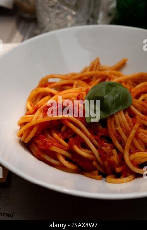 Klassische Spaghetti- und Tomatensauce mit Basilikumgarnitur Stockfoto
