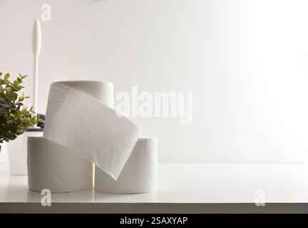 Detail des Stapels weißer Toilettenpapierrollen mit Toilettenbürste und Pflanze mit weißem isoliertem Hintergrund. Vorderansicht. Stockfoto