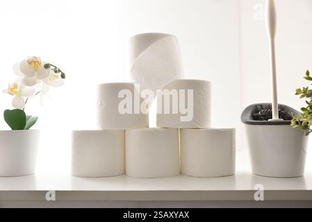 Detail des Stapels weißer Toilettenpapierrollen auf weißen Badezimmermöbeln mit Toilettenbürste und Pflanzen und weißem isoliertem Hintergrund. Vorderansicht. Stockfoto