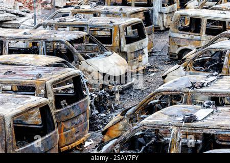 München, Deutschland. Januar 31, 2025. Zahlreiche ausgebrannte Servicefahrzeuge sind auf dem Gelände der Polizeihundeschwader zu sehen. Die Ermittler und die Staatssicherheit untersuchen, nachdem 23 Polizeifahrzeuge vor dem Polizeirevier in Brand gesetzt wurden. Quelle: Matthias Balk/dpa/Alamy Live News Stockfoto