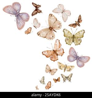 Schmetterlinge, Stereofish, Motten auf weißem Hintergrund. Set aus zarten, süßen, beigefarbenen, braunen, violetten Schmetterlingen. Handgezeichnete Aquarellillustration auf Stockfoto