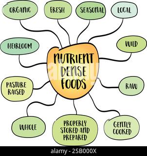 Attributes of nutrient dense foods, healthy eating concept, infographics sketch. Stock Vektor