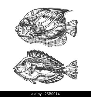 Vektorillustration von Meeresfischen. Ein tropisches Unterwassertier. Tropisches Element der Natur. Für Postkarten, Ausdrucke. Handgezeichnete strukturierte Skizze in Stock Vektor