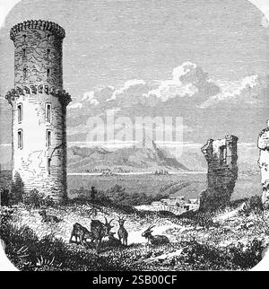 Bad Godesberg, Ruine der Burg Godesberg mit dem Siebengebirge, Rundturm, Mittelgebirge, Ziegen, Reise, Nordrhein-Westfalen, Deutschland, hist Stockfoto