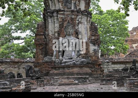 Buddha-Statue im Wat Mahathat Ayutthaya, Tempel des Großen und Heiligen Reliefs, Ayutthaya, Provinz Ayutthaya, Thailand, Asien Stockfoto