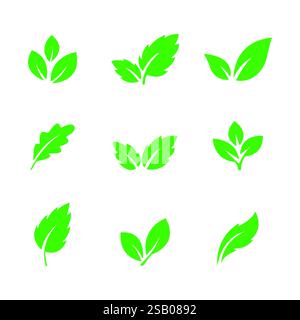 Satz grüner Blattsymbole. Blätter von Bäumen und Pflanzen. Sammlung grüner Blätter. Vektorabbildung Stock Vektor