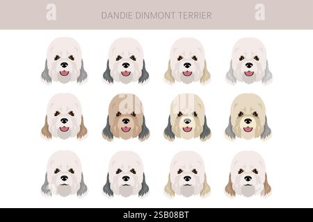 Dandie dinmont Terrier-Welpen-Clipart. Verschiedene Posen, Fellfarben gesetzt. Vektorabbildung Stock Vektor