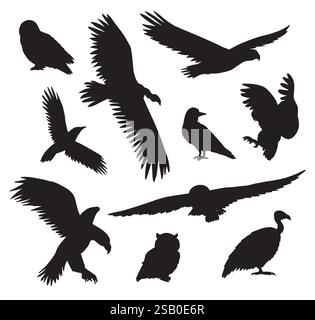 Vektor-Set-Bündel der schwarzen Hand gezeichneten wilden Raubvogel Silhouette isoliert auf weißem Hintergrund Stock Vektor