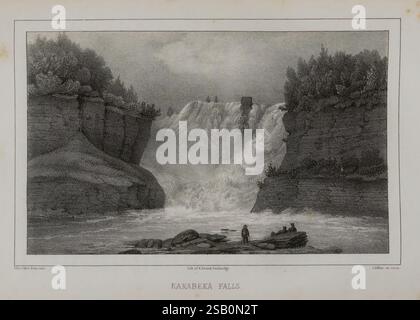See, Superior ITS, Charakter, Vegetation und Tiere, verglichen mit denen von, Sonstiges, ähnliche, Regions, Boston, Gould, Kendall, und Lincoln, 1850. Stockfoto