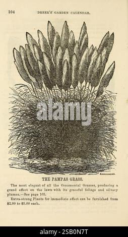 Dreers Gartenkalender 1872 Philadelphia, Pa, Henry A. Dreer, 1872 Fruit, Gartenarbeit, Samen, Pampas, Gras, Kataloge, Baumschulen, Henry A. Dreer Firma, Gartengeschichten, in Blüte Stockfoto