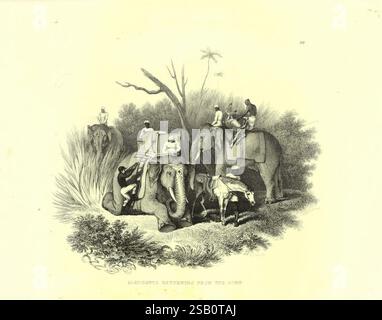 Stiche von Löwen, Tigern, Panthern, Leoparden, Hunden, &c 1853. Tiermalerei und -Illustration, Tiere, Bildwerke, Elephas maximus, Elefant, Indianer, Indien, Elephas maximus indicus, asiatisches Tier, asiatisch, Asien, Säugetiere, Säugetiere, gefährdete Arten, gefährdete Arten, eine Szene, die eine Gruppe von Figuren zeigt, die eine zeremonielle oder explorative Aktivität in einer üppigen Umgebung ausüben. Im Zentrum der Komposition steht ein Elefant, der ruht, während andere auf zusätzlichen Elefanten montiert sind. Einige Figuren tragen historische Kleidung, was auf eine Periode kolonialer Erkundungen hindeutet. Die Landschaft ist dicht Stockfoto
