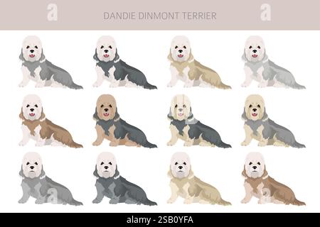 Dandie dinmont Terrier-Welpen-Clipart. Verschiedene Posen, Fellfarben gesetzt. Vektorabbildung Stock Vektor