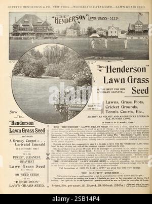 Großhandelspreisliste der Bedarfsartikel für Blumenhändler und Gärtner, New York, The Company, Flowers, New York, Gemüse, Samen, Zwiebeln, New York State, Kataloge, Rasengras, Gärtnereien, Gartenbau, Saatgutindustrie und -Handel, Gartengeschichten, in Blüte, Henderson Peter Co, Stump Walter Co, New York, New York, NY., die Werbung zeigt ein Vintage-Rasenpflegeprodukt, speziell „Henderson Lawn Grass Seed“, das seine Qualität und Effektivität für die Schaffung schöner Rasenflächen, Rasenflächen und Erholungsgebiete wie Cricket-Plätze und Tennisplätze betont. Auf der Spitze, eine malerische Landschaft Stockfoto