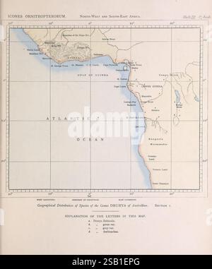 Icones Ornithopterorum, London, herausgegeben von der Autorin Upper Norwood, London, S. E, 1898-1906 [d. h. 1907], Papilionidae, Eine detaillierte Karte, die die geografische Verteilung der Arten der Gattung Drury der Familie Acanthopterygii darstellt und die Regionen Nordwest- und Südostafrikas hervorhebt. Die Abbildung zeigt den Golf von Guinea, mit bemerkenswerten Küstenlandschaften und einer klaren Darstellung der wichtigsten geografischen Merkmale in der Region. Breiten- und Längengraden werden markiert, um einen Rahmen für die kartierten Gebiete zu schaffen. Eine erläuternde Taste am unteren Rand definiert die verwendeten Symbole f Stockfoto