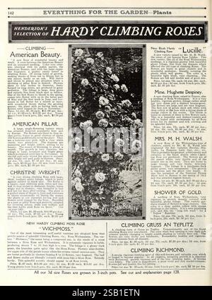 Alles für den Garten. New York, Peter Henderson & Co, 1915, Blumen, Gartenarbeit, Bücher, Saatgut, Kataloge, Rasenmäher, Ausrüstung und Zubehör, Glühbirnen, Pflanzen, Gartengeschichten, in Blüte, auf dieser Seite finden Sie eine Anzeige für Hendersons Auswahl an harten Kletterrosen, die verschiedene Rosensorten zeigen, die ideal für den Gartenanbau sind. Der obere Teil hebt „Climbing American Beauty“ hervor, begleitet von einer Beschreibung, die seine visuelle Attraktivität und seine Wachstumseigenschaften betont. Im Folgenden sind mehrere andere Rosenarten aufgeführt, darunter „American Pillar“, „Christine Wright“ und „Shower of Gold“ Stockfoto