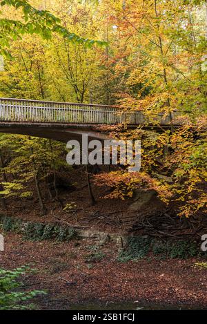 Laeken, Brüssel - Belgien - 11 06 2018 Panoramablick über den Park Osseghem mit farbenfrohen Herbstblättern Stockfoto
