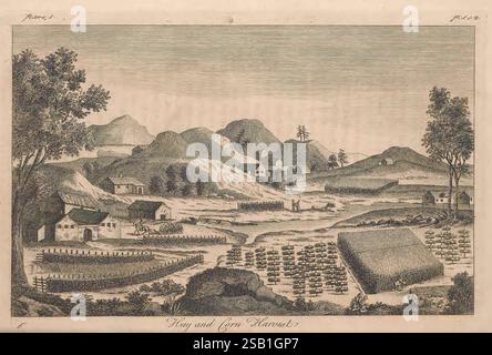 Die Natur, Geschichte, Norwegen, London, gedruckt, für A, Linde, 1755, Norwegen, Natur, Geschichte, die Szene zeigt eine ruhige Landschaft mit einem kleinen Dorf, eingebettet in sanfte Hügel und Berge. Die Architektur besteht aus malerischen Häusern mit schrägen Dächern, umgeben von Feldern und Ackerland. Im Vordergrund steht eine strukturierte Anordnung der Kulturen, die möglicherweise auf die landwirtschaftliche Tätigkeit hinweist. Ein gewundener Pfad führt durch das Dorf und weist auf einen Gemeinschaftsbereich hin, in dem Interaktionen stattfinden können. Hohe Bäume und natürliche Vegetation umrahmen die Umgebung und unterstreichen den ländlichen Charme von Th Stockfoto