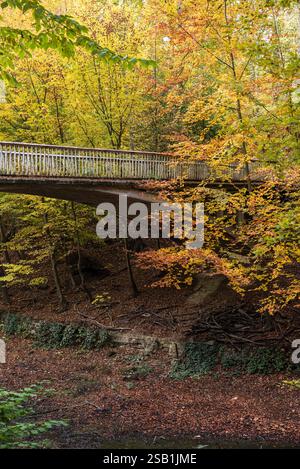 Laeken, Brüssel - Belgien - 11 06 2018 Panoramablick über den Park Osseghem mit farbenfrohen Herbstblättern Stockfoto
