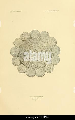 Art in Shell der Antiker Amerikaner, Washington, Govt. Print, 1883, Antiquitäten, indische Kunst, Indianer, Muscheln in Kunst, viele Hüte von Holmes, Busycon Perversum, Sinistrofulgur Perversum, Kate Clifton Osgood, Kate Clifton Osgood Holmes, Kate Clifton Holmes, Kate Osgood Holmes, Kate Clifton Osgood, Frauen in der Wissenschaft Stockfoto