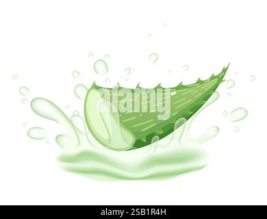 Geschnittenes Stück Aloe Vera mit geschwungener Form. Grün, dick und fleischig mit sichtbarer Hydration. Transparentes Gel, das aus dem Schnitt austritt. Wassertröpfchen su Stock Vektor