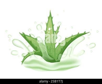 Frische Aloe Vera Pflanze mit dicken, stacheligen grünen Blättern. Gel-Einschnitte. Saftige, fleischige Textur mit glänzender Oberfläche. Vektorillustration isoliert auf weiß Stock Vektor