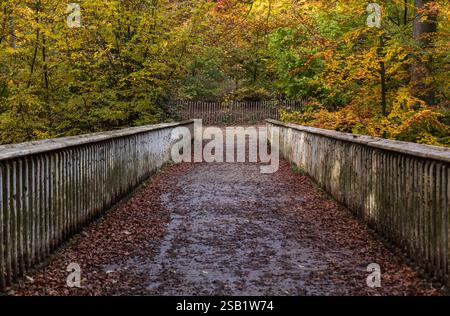Laeken, Brüssel Belgien - 11 06 2018 Panoramablick über eine Fußgängerbrücke mit bunten Herbstblättern im Osseghem Park Stockfoto