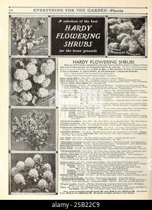 Alles für den Garten. New York, Peter Henderson & Co, 1915, Blumen, Gartenarbeit, Bücher, Saatgut, Kataloge, Rasenmäher, Ausrüstung und Zubehör, Glühbirnen, Pflanzen, Gartengeschichten, in Blüte, Ein Grundriss mit verschiedenen widerstandsfähigen blühenden Sträuchern, die für den Garten geeignet sind. Im oberen Bereich finden Sie detaillierte Abbildungen und Beschreibungen ausgewählter Sträucher, darunter *Prunus Triloba* und *Hydrangea paniculata*. Jeder Sträucher wird von Notizen zu seinen Eigenschaften, Wachstumsanforderungen und idealen Pflanzbedingungen begleitet. Der untere Abschnitt enthält zusätzliche Einträge für andere blühende Sorten, hig Stockfoto